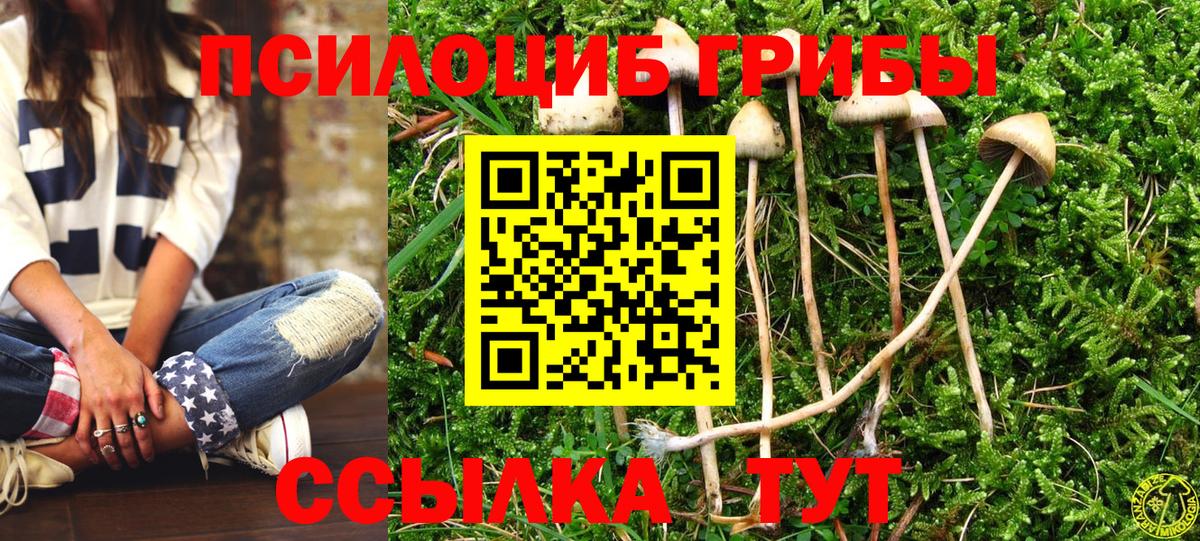 Киселёвск  Псилоцибиновые грибы мухоморы  Вход с VPN 