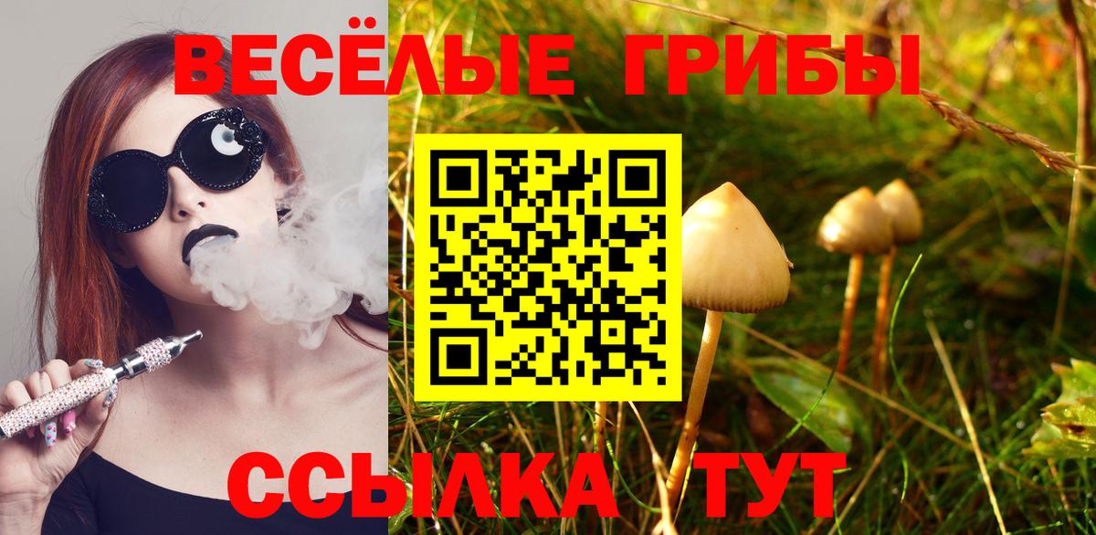Псилоцибиновые грибы мицелий Киселёвск